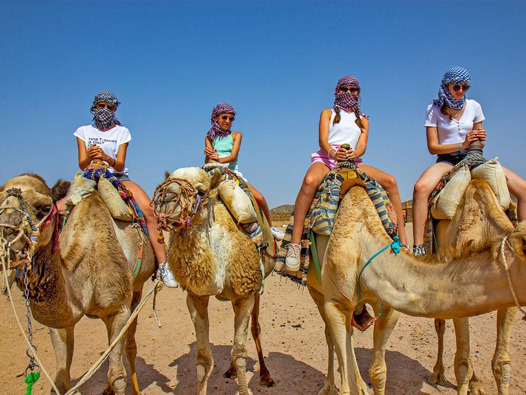 imgSrc?.image_title imgSrc?.image_alt